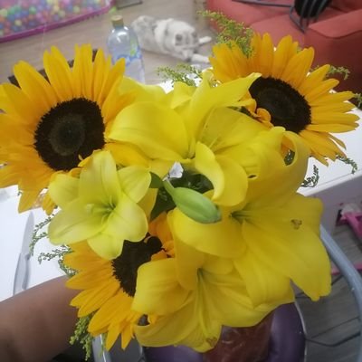 ShanthiiiszEssp's profile picture. Más que a mi propia vida es cuanto yo te amo 💜