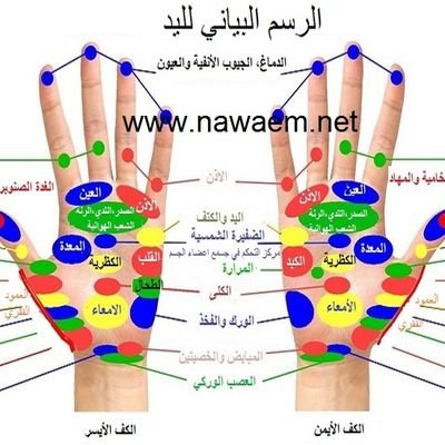 الانسانية بلا عدالة تتحول الى همجية وحشية