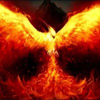 cryptofalconx2 | AImagine 🪂 (@cryptofalconx2) 's Twitter Profile