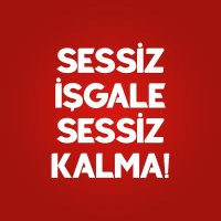 Sessiz İşgal(@sessizisgal) 's Twitter Profile Photo