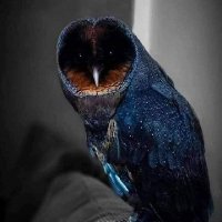 mido (@mido57378040) 's Twitter Profile