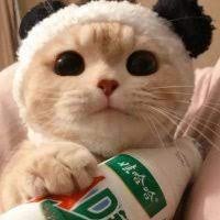 MeixiaGong1's profile picture. 