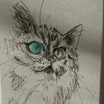 猫カボチャ Catussquash Twitter