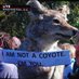 Coyote (@coyote4183) Twitter profile photo