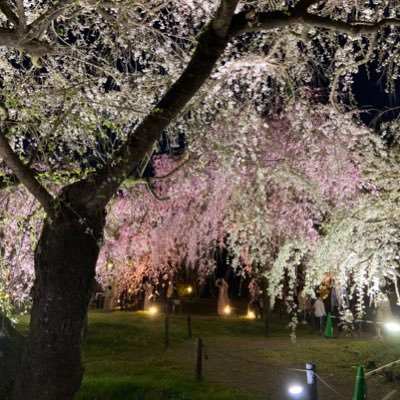 京都産業大学 落語長屋 神山亭複数音 ハーモニー新宮