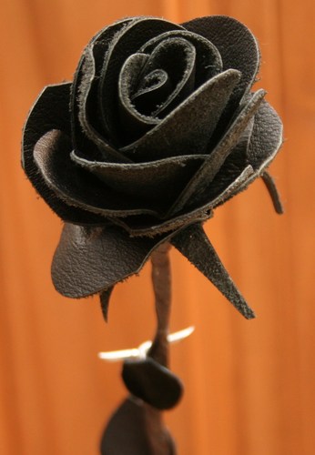 thegoodbyerose's profile picture. Please support tweeters who have under 1000 followers.
Supports Carshalton Ath,Arsenal & 49ers Active Rotarian .,views are own and independent so tough.