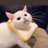 dxyhni's profile image