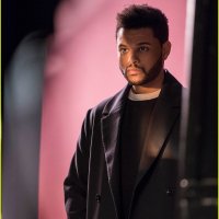 dante (@dantarig) 's Twitter Profile
