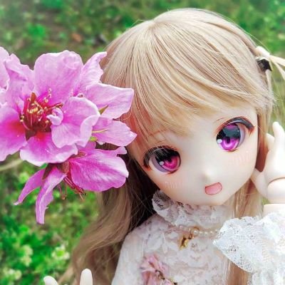 kyoka_doll Profile Picture