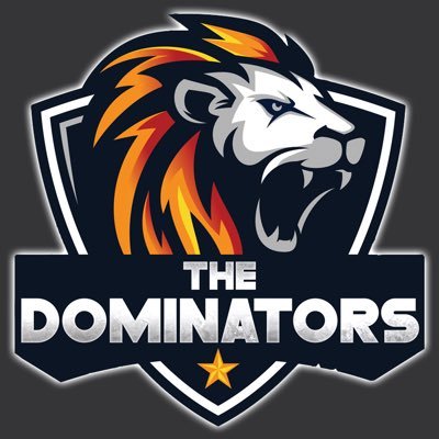 TheDom2211's profile picture. 