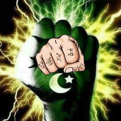 🇵🇰Love Pakistan 🇵🇰🤳✌️💯✌️👍