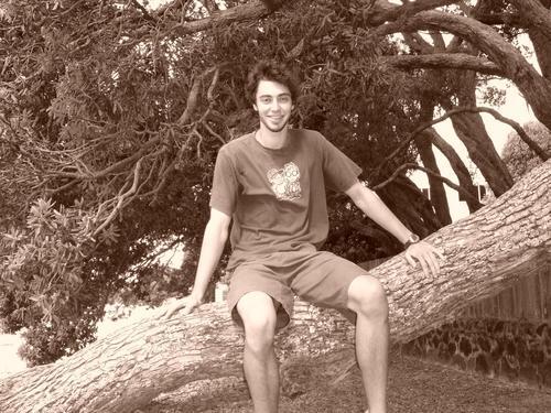 BetterWeb's profile picture. 