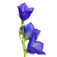 앞구르기(@tenpinginc9) 's Twitter Profile Photo 앞구르기(@tenpinginc9) 's Twitter Profile Photo