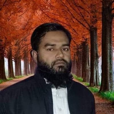 Shafiqmalik1895's profile picture. 