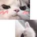 K+ (@xprocakkek) Twitter profile photo K+ (@xprocakkek) Twitter profile photo