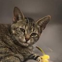 Moore Elisa - @MooreElisa5 - Twitter