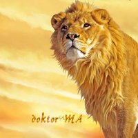 Dr. Mustafa ARSLAN (@61mustafaarslan) 's Twitter Profile