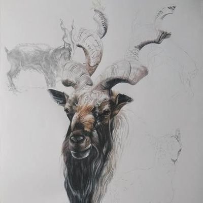 ForcetechI's profile picture. Heppy life