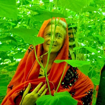 FAO Representative in Pakistan