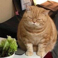 ฆวยไรสัส (@kuyraiikaaesas) 's Twitter Profile