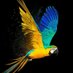 ashoka (@ashok_ashok9) Twitter profile photo ashoka (@ashok_ashok9) Twitter profile photo