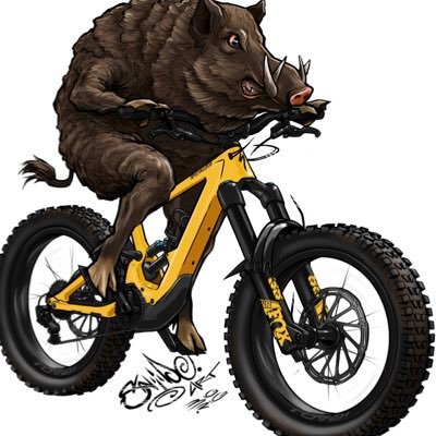 FoDmtb Profile Picture