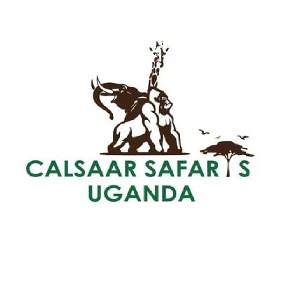 Calsaarsafaris Profile Picture