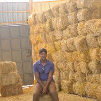 mumira mwathi (@samuelmwathi) 's Twitter Profile
