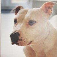 Saddler1975 (@bunchie1975) 's Twitter Profile Photo Saddler1975 (@bunchie1975) 's Twitter Profile Photo