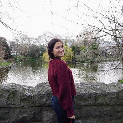 LaiaTarres's profile picture. PhD Candidate at @la_UPC in CV