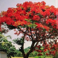 ak_2021 (@aq_280) 's Twitter Profile