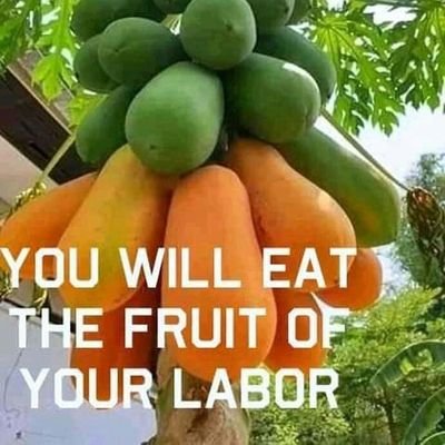 Suleima37843501's profile picture. Yea