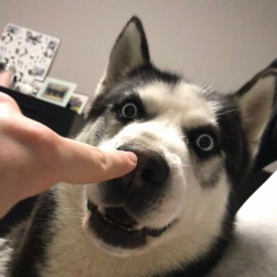 tweet_nikolas's profile picture. Ex nihilo nihil fit. 🇪🇺