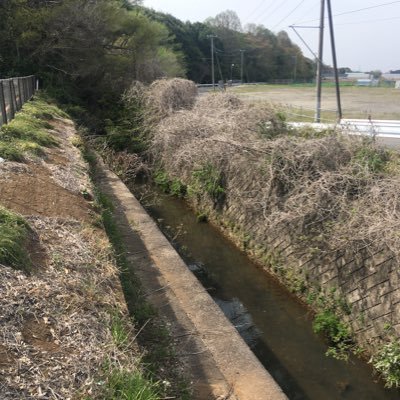hanamuroriver's profile picture. とある大学院生。街道、林道、廃道、酷道、川、河岸、商店街、歓楽街、秘境、秘湯、峠、廃墟、廃集落、鉱山、近代建築、給水塔、街灯、歴史、アーケード、十字路、喫茶店、定食屋、町中華… が好き。 蝦夷→下総→越中🆕