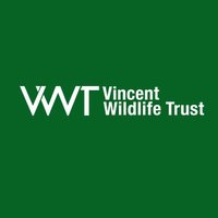 Vincent Wildlife (@vincentwildlife) 's Twitter Profile