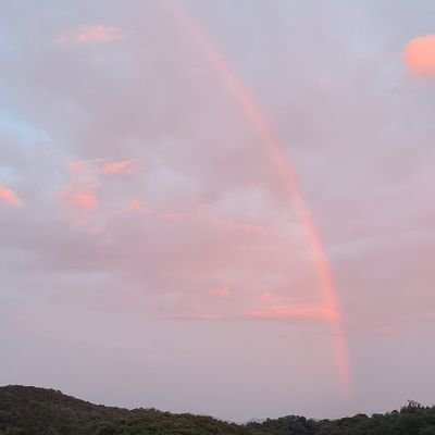 lovekim016's profile picture. 40대 쥐띠 외톨이 男