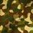 cam5571's profile image