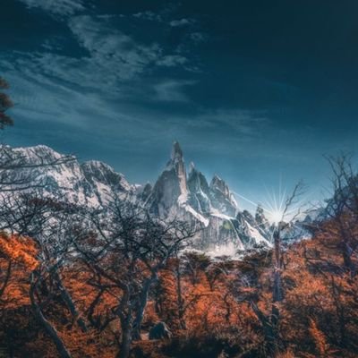 Success56547093's profile picture. 