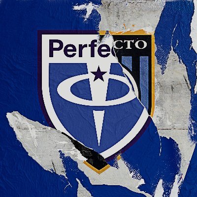 perfectorecords Profile Picture