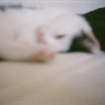 x5kgBXcYOqSg8Qp's profile picture. 屁放。 空気に混じって消えます。残るのは備忘録