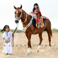 Abu Suhail (@rothwanali) 's Twitter Profile