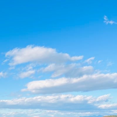 chrop1249's profile picture. 