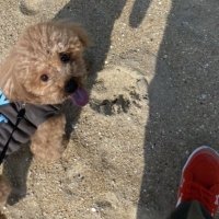 🦆 (@omv5uu) 's Twitter Profile