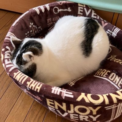 udonbosyu's profile picture. 保険募集人5年目 元自動車ディーラー営業 生保の難しさに苦戦中！今年はやるでい！