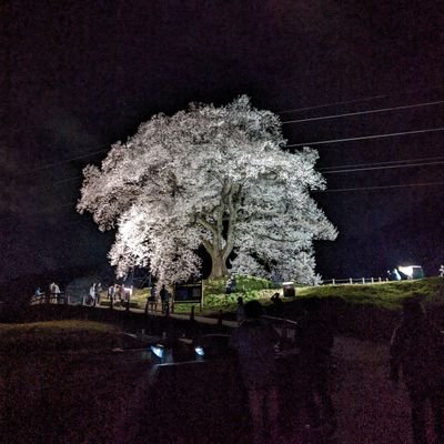 田舎で子育て満喫中