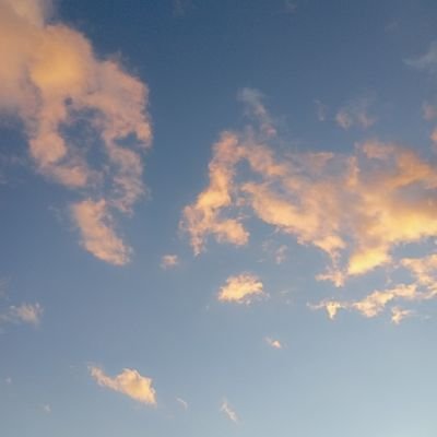 oto_eguchi's profile picture. 織都とかいて、おとと読む。思考備忘録。
舞台音響
奈教特支卒　
ピッコロ舞台技術29期音響コース卒
演劇