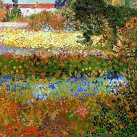 amit7m (@amit7m) 's Twitter Profile