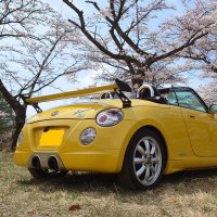 晴ぼん@感謝祭ロス中 (@harubon_l880k) 's Twitter Profile Photo 晴ぼん@感謝祭ロス中 (@harubon_l880k) 's Twitter Profile Photo