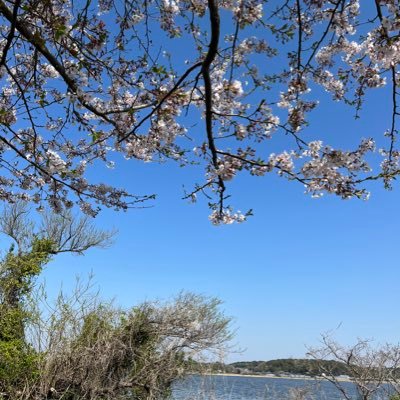 2_t8q4's profile picture. 自転車好き キャンプ好き 釣り好き 納豆嫌い