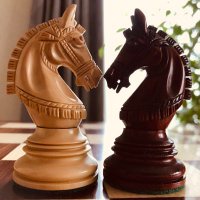 Hanno Chess Club 飯能チェスクラブ (@hannochess) 's Twitter Profile